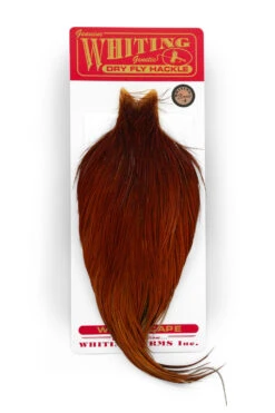 Whiting Bronze Tuppnacke Brown