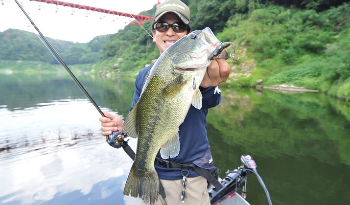 Fish Arrow Free Rig Sinker Tungsten â Bild 5