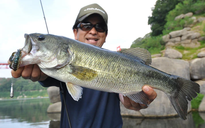 Fish Arrow Free Rig Sinker Tungsten â Bild 6